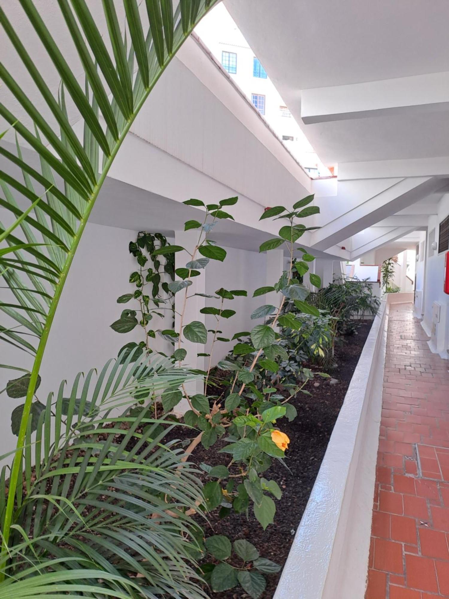 Ancora Home, Los Diamantes, Tenerife 로스크리스티아노스 외부 사진